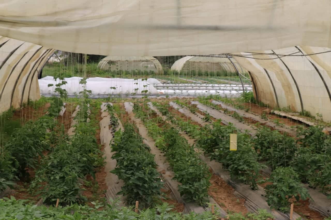 Agricultural Research