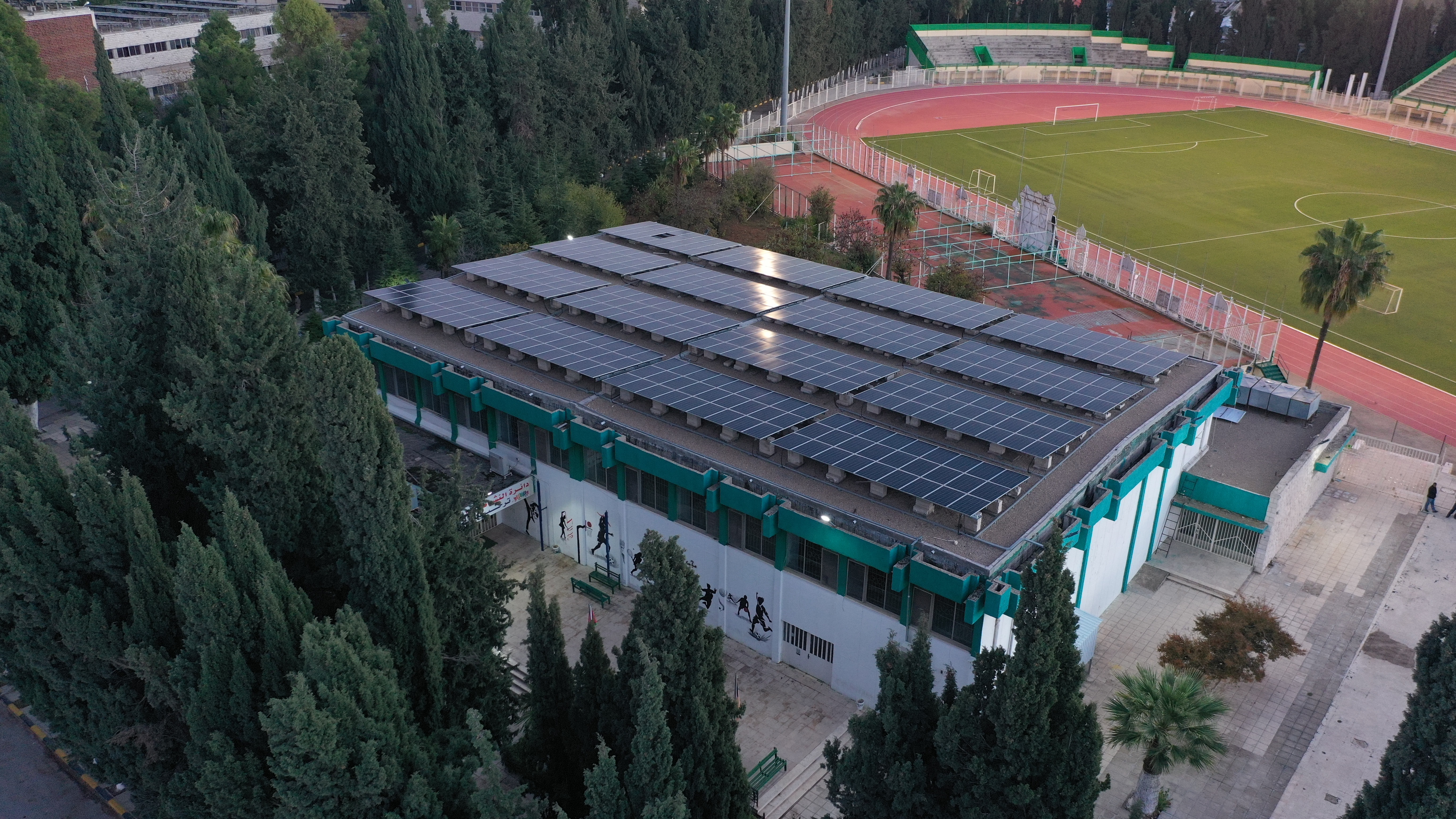 Sports & Physical Wellness